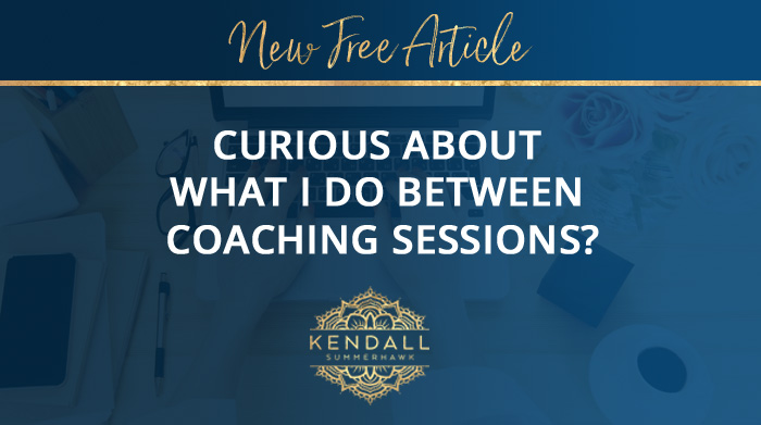 Certified Coach Training with Kendall SummerHawk